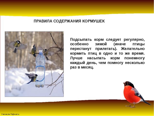 Зимующие птицы. Презентация для детей дошкольников