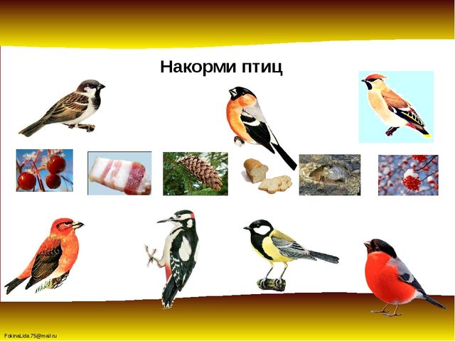 Зимующие птицы. Презентация для детей дошкольников