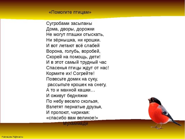 Зимующие птицы. Презентация для детей дошкольников