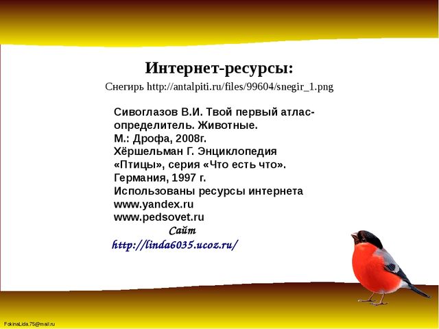 Зимующие птицы. Презентация для детей дошкольников