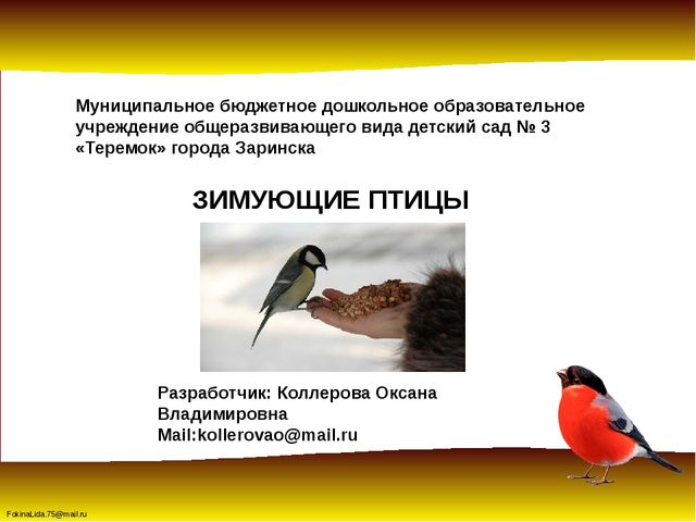 Зимующие птицы. Презентация для детей дошкольников