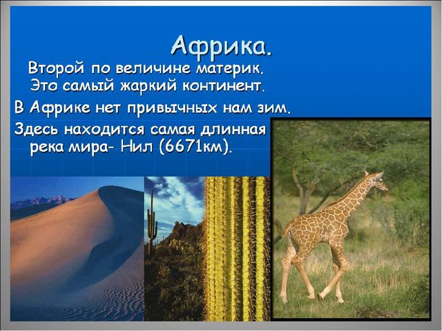 Животный мир Африки. Презентация