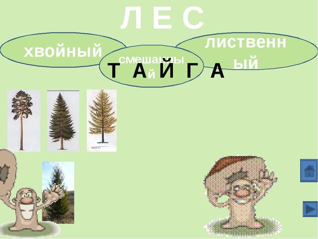 Непросто лес, а тайга. Презентация для детей (6-7 лет)