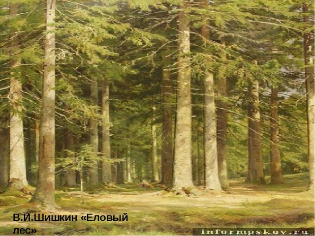 Непросто лес, а тайга. Презентация для детей (6-7 лет)
