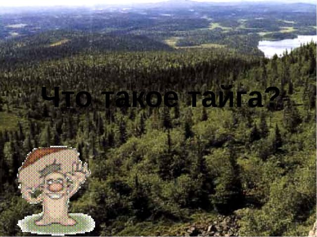 Непросто лес, а тайга. Презентация для детей (6-7 лет)