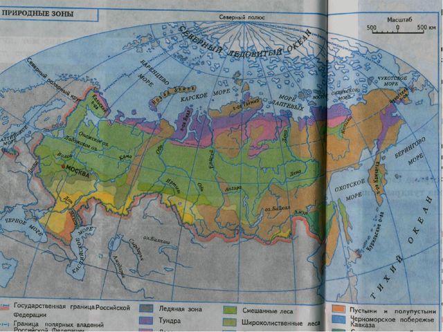 Непросто лес, а тайга. Презентация для детей (6-7 лет)
