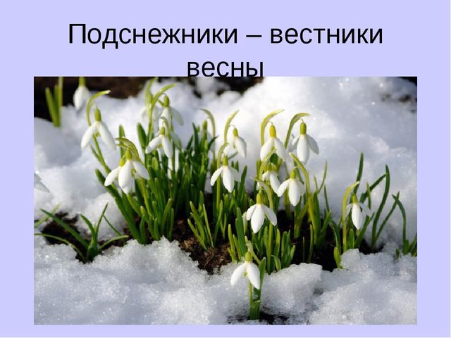 Легенда о Мартиничках