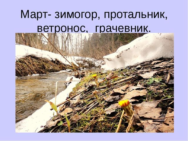 Легенда о Мартиничках