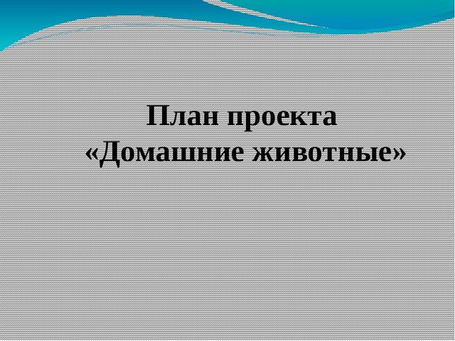 Презентация проекта "Домашние животные"