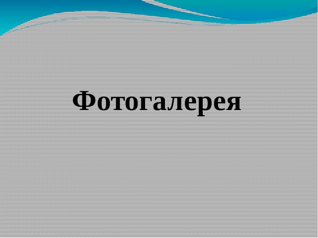 Презентация проекта "Домашние животные"