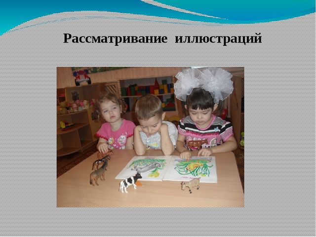 Презентация проекта "Домашние животные"