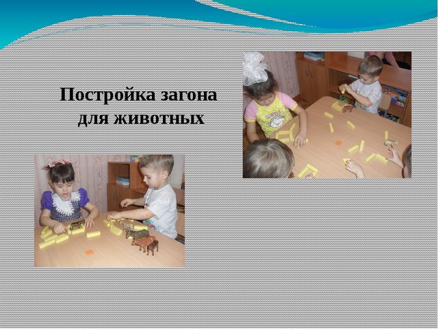 Презентация проекта "Домашние животные"
