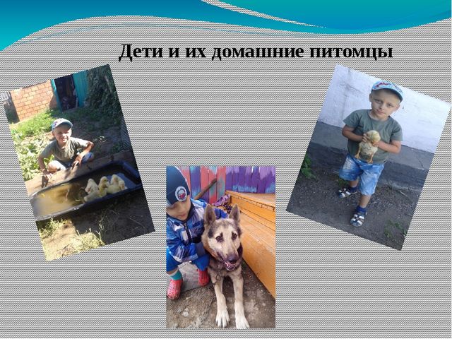 Презентация проекта "Домашние животные"