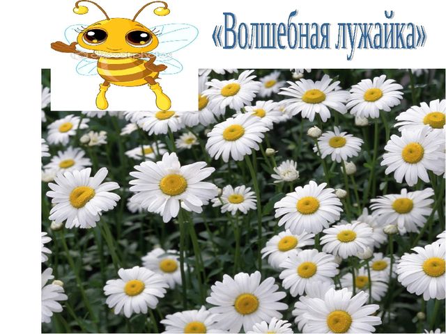 Конспект НОД по ФЭМП "Число7. Цифра 7"