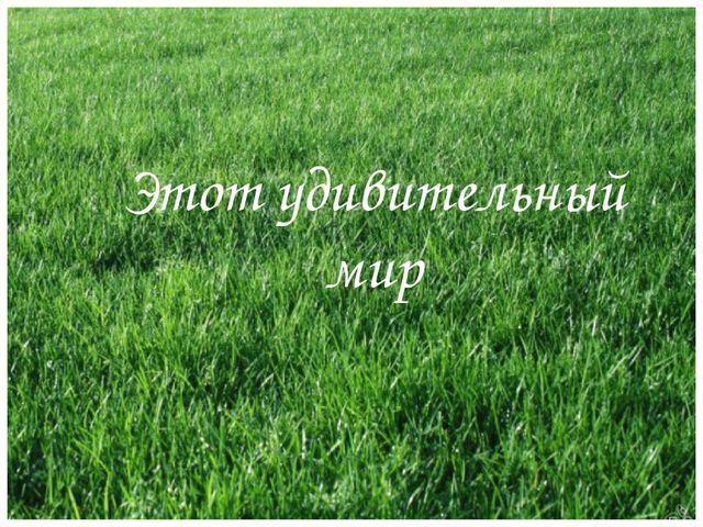 Презентация по теме "Дом, в котором я живу"