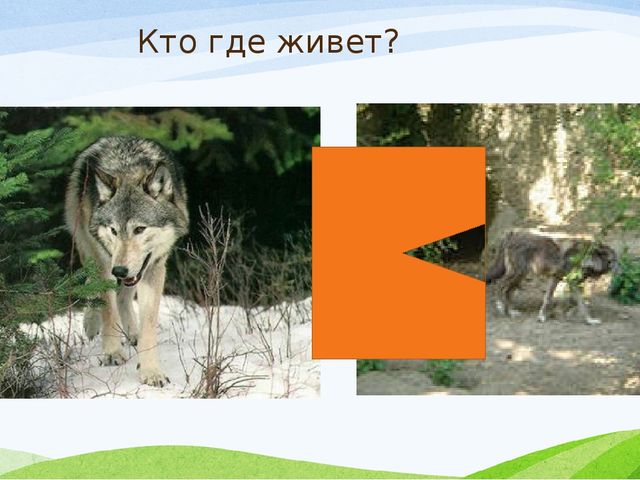 Презентация к занятию с заикающимися детьми по теме: "Дикие животные зимой"