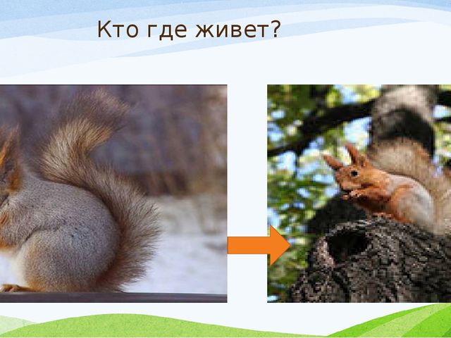 Презентация к занятию с заикающимися детьми по теме: "Дикие животные зимой"