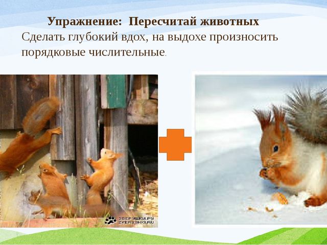 Презентация к занятию с заикающимися детьми по теме: "Дикие животные зимой"