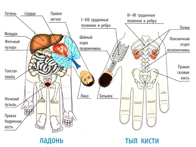 Полифункциональные оздоровительно-развивающие формы работы воспитателя с детьми дошкольного возраста