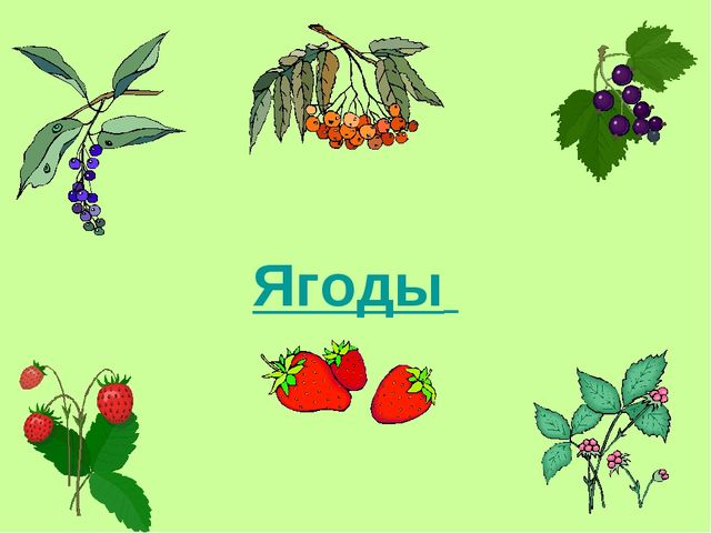 Презентация по теме "Ягоды"