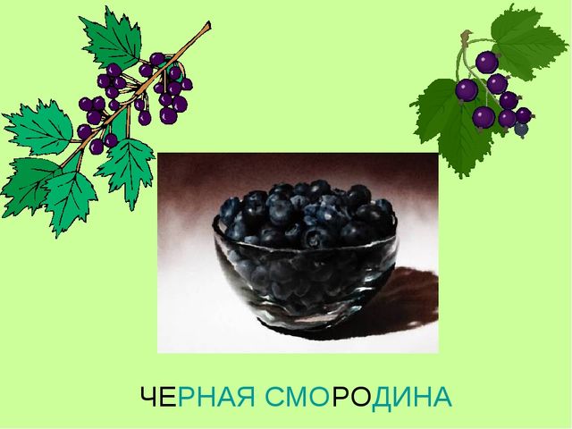 Презентация по теме "Ягоды"