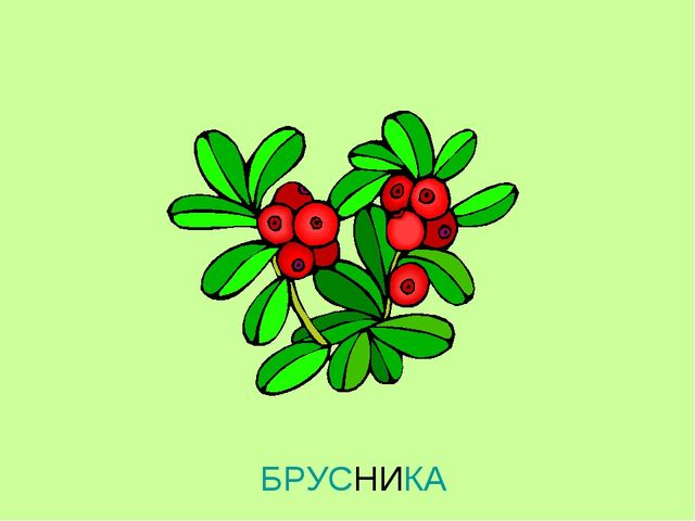 Презентация по теме "Ягоды"
