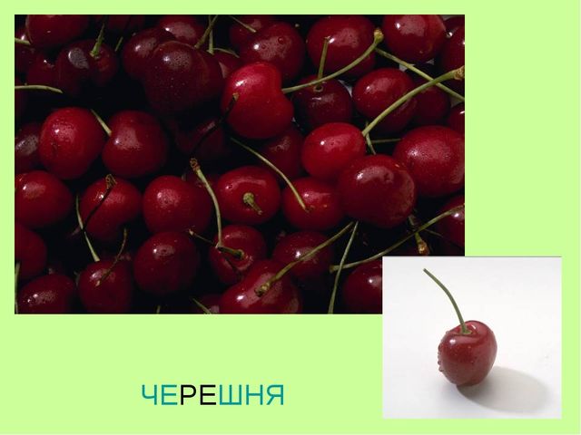 Презентация по теме "Ягоды"