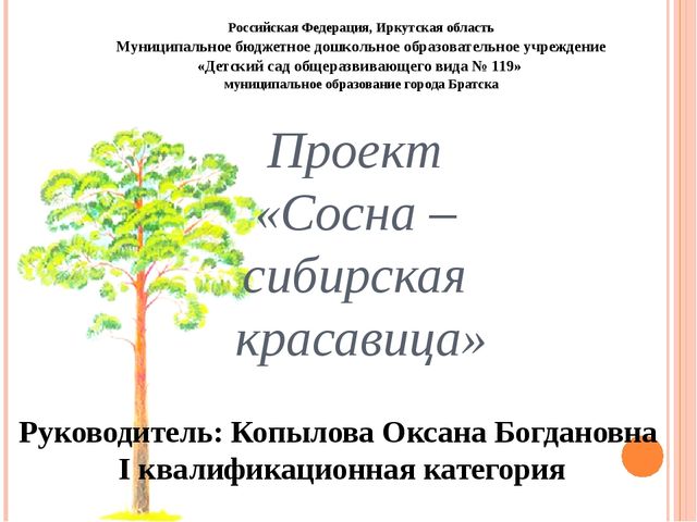 Презентация "Проект "Сосна - сибирская красавица""