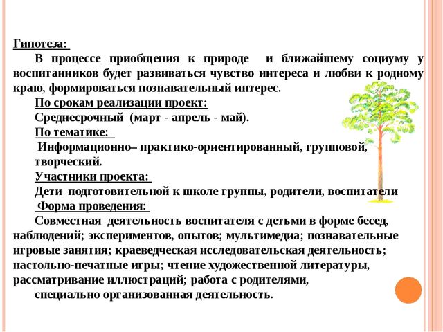 Презентация "Проект "Сосна - сибирская красавица""