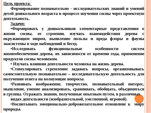 Презентация "Проект "Сосна - сибирская красавица""