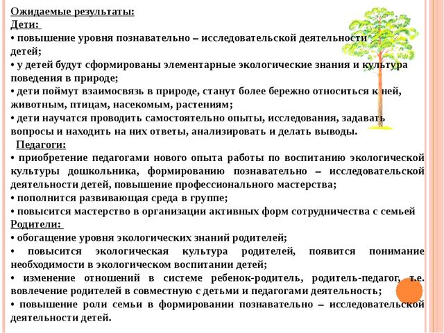 Презентация "Проект "Сосна - сибирская красавица""