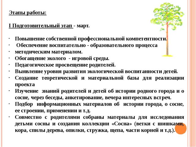 Презентация "Проект "Сосна - сибирская красавица""
