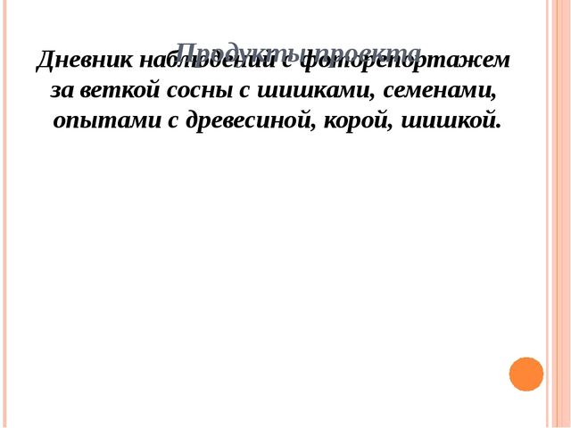 Презентация "Проект "Сосна - сибирская красавица""