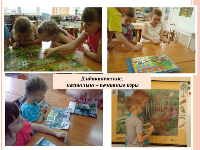 Презентация "Проект "Сосна - сибирская красавица""
