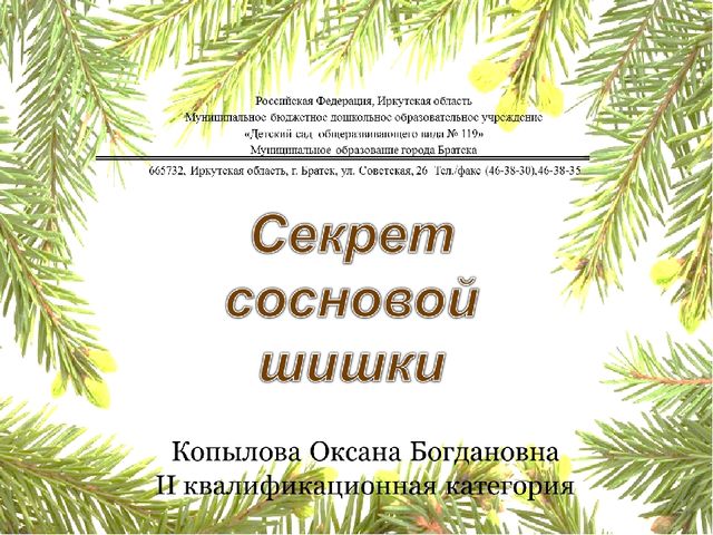 Презентация "Секрет сосновой шишки" для подготовительной к школе группы