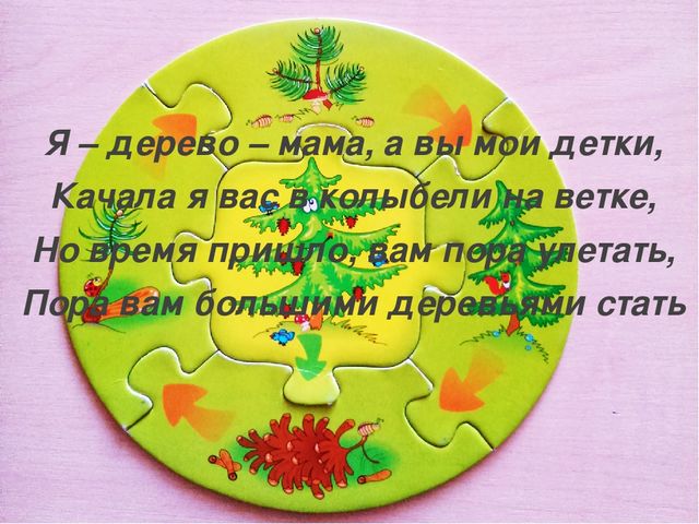 Презентация "Секрет сосновой шишки" для подготовительной к школе группы