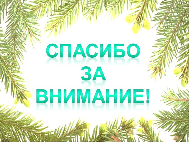 Презентация "Секрет сосновой шишки" для подготовительной к школе группы