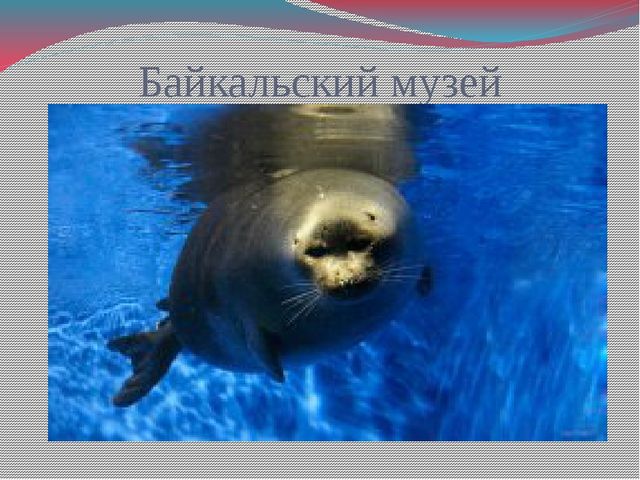 Презентация для дошкольников "Достопримечательности Сибири"