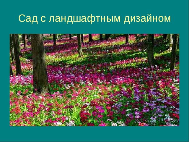 Презентация на тему "Цветочная фантазия"