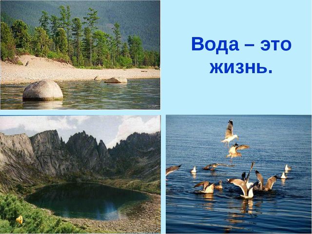 Презентация по теме "Значение воды на земле"