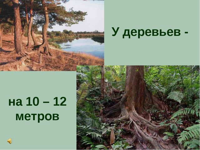 Презентация по теме "Значение воды на земле"