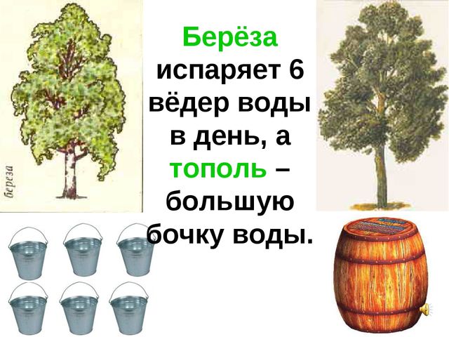 Презентация по теме "Значение воды на земле"