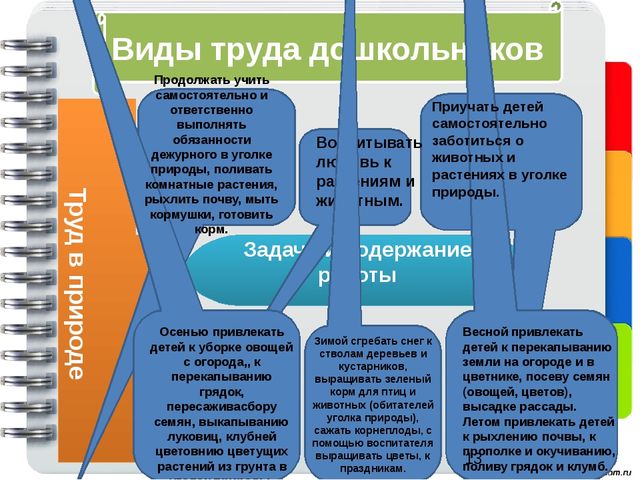 Воспитание трудовых навыков у детей старшего дошкольного возраста