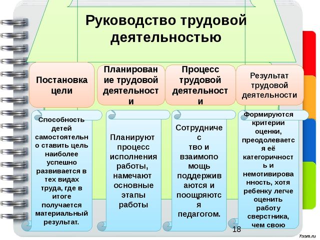 Трудовая деятельность проект