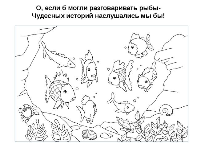 Презентация "Подводный мир рыб"