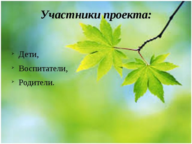 Методическая разработка Проект "Весенние секреты"