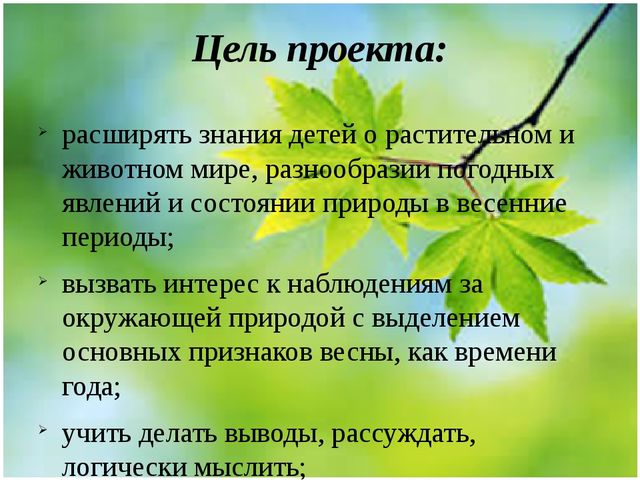 Методическая разработка Проект "Весенние секреты"