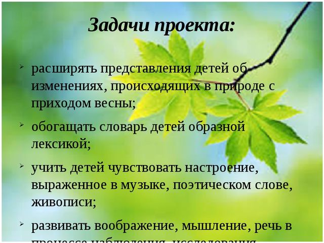 Методическая разработка Проект "Весенние секреты"