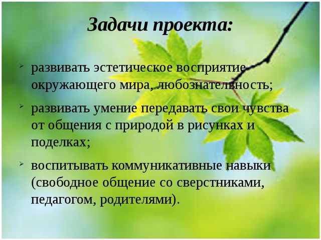 Методическая разработка Проект "Весенние секреты"