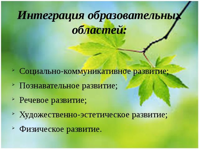 Методическая разработка Проект "Весенние секреты"